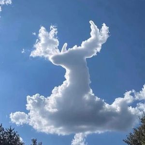 Meet your Posher, Bart